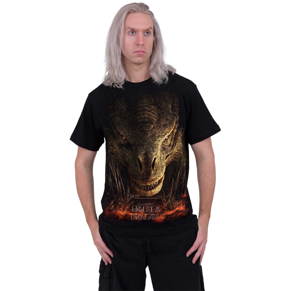 Spiral House Of The Dragon - Dragon Throne Mens Tshirt - Black